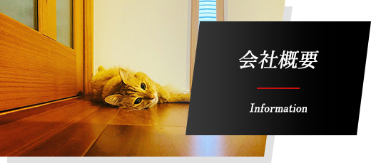 会社概要